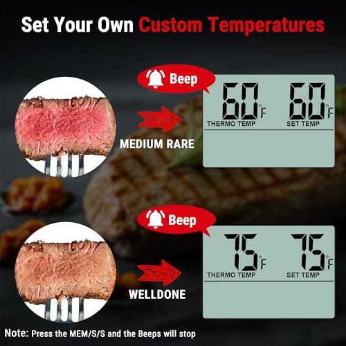 Large LCD leave in smoker thermometer — photo 4