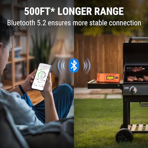 Wireless dual probe thermometer with LCD booster — photo 4