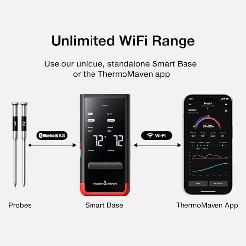 WiFi meat thermometer with dual probes — photo 3