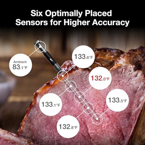 WiFi meat thermometer with dual probes — photo 4