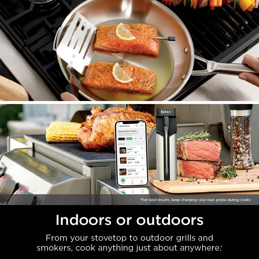 Wireless app controlled prochef thermometer — photo 4