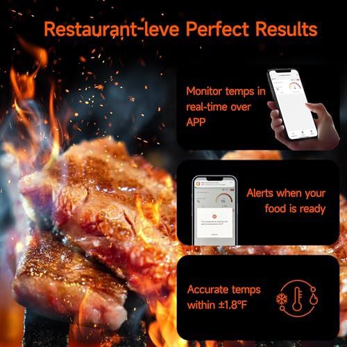 Compact wireless bluetooth thermometer for rotisserie — photo 4