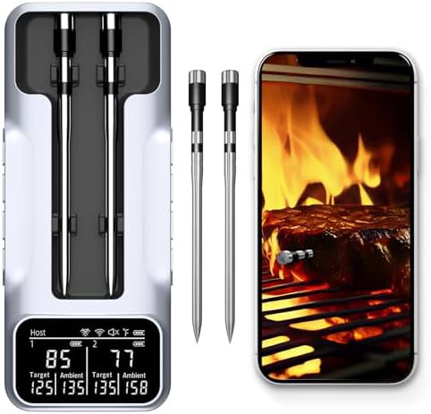 Smart grill thermometer with dual probes