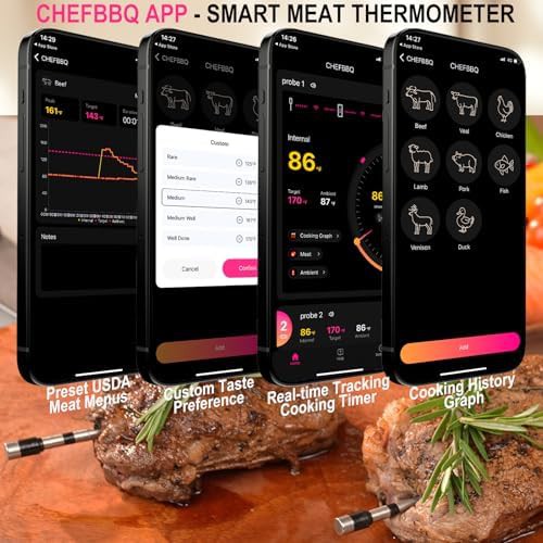 Bluetooth dual probe host control thermometer — photo 3