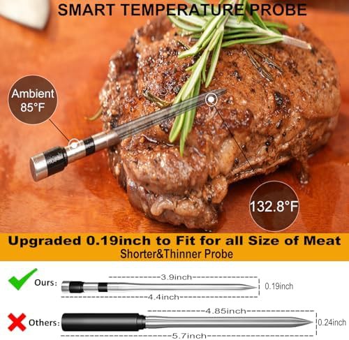 Bluetooth dual probe host control thermometer — photo 4