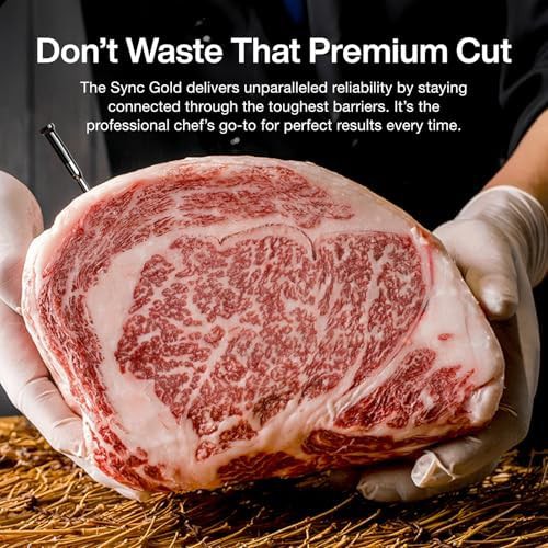 Gold wireless meat thermometer with two slim probes — photo 3