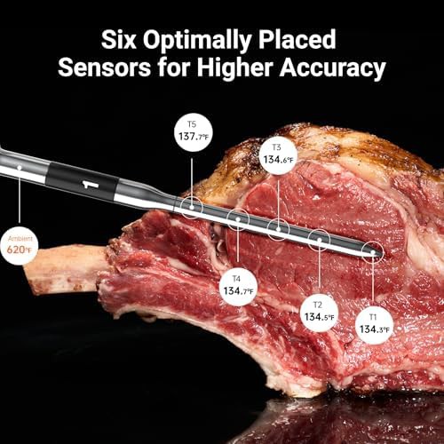 WiFi smart thermometer with four probes — photo 3