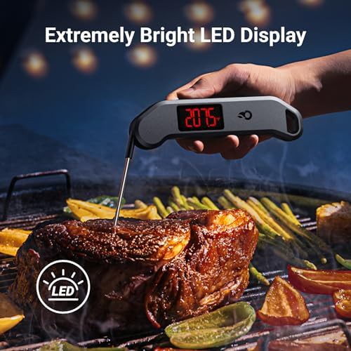 Professional one second BBQ thermometer — photo 5