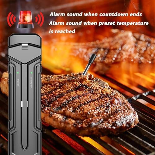 Wireless bluetooth thermometer with stainless probe — photo 4