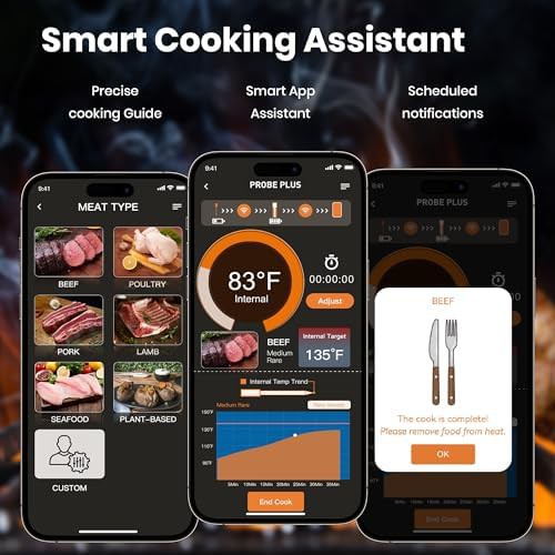 Smart wireless thermometer with four probes — photo 4