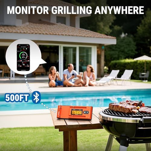 Dual probe wireless thermometer with LCD booster — photo 5