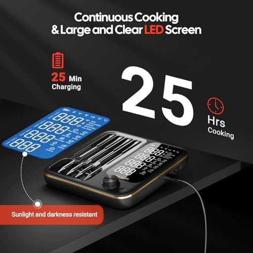 Remote control wifi thermometer with four probes — photo 4