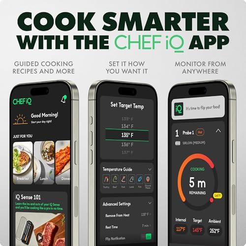 Single probe wifi smart meat thermometer gen3 — photo 3