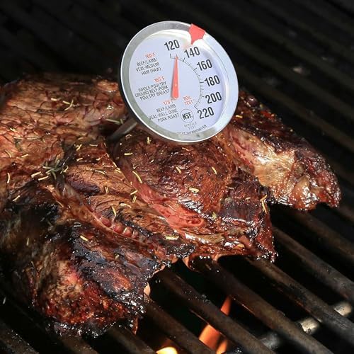 Oven safe analog dial thermometers two pack — photo 5