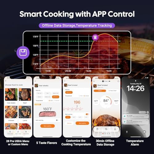 Smart thermometer with unlimited range and four probes — photo 5
