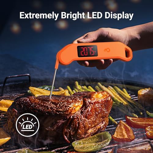 NIST certified one second thermometer — photo 5