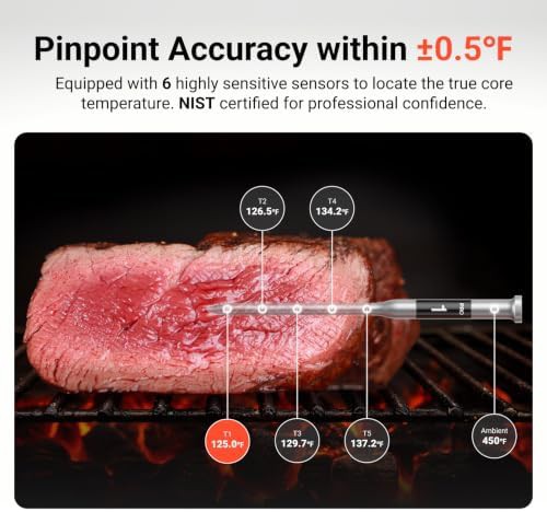 Smart WiFi meat thermometer with two probes — photo 3